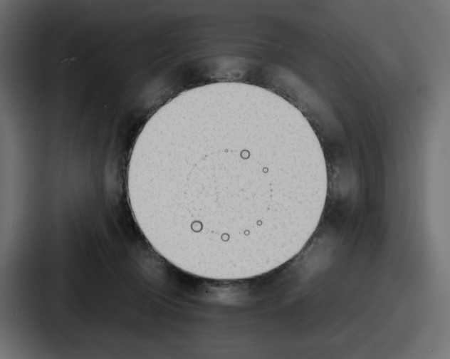 X0000086760370200705111720