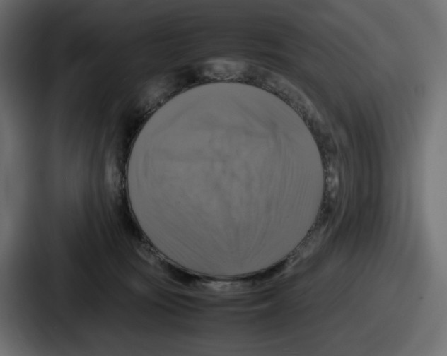 X0000086760371200705111720
