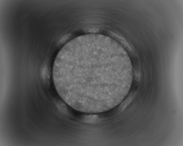 X0000086760374200705111720