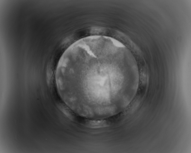 X0000086760375200705111720