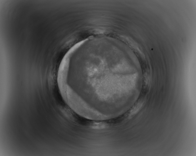 X0000086760376200705111720