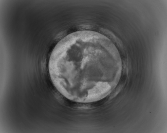 X0000086760377200705111720