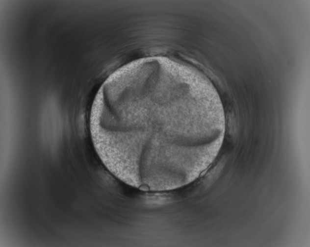 X0000086760378200705111720