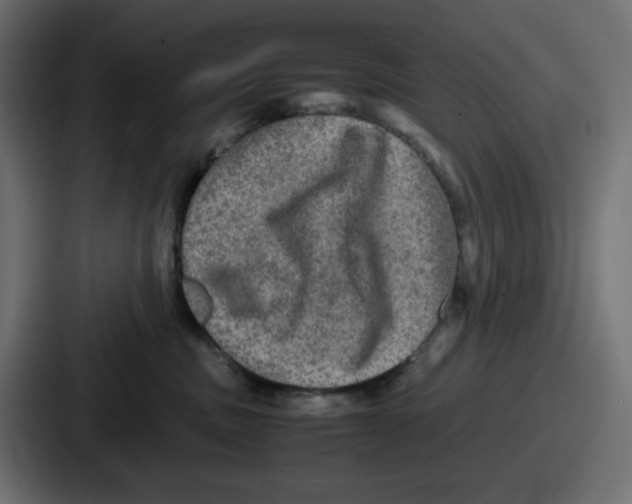 X0000086760379200705111720