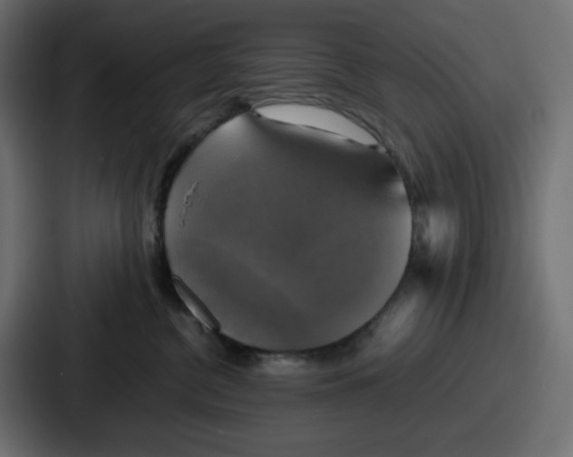 X0000086760380200705111720