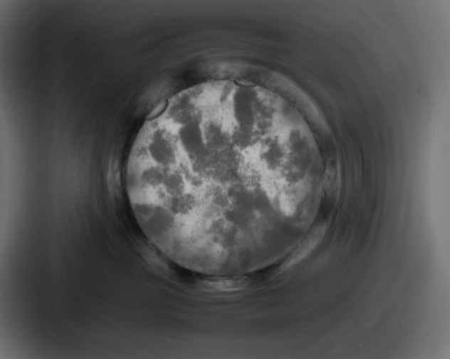 X0000086760381200705111720