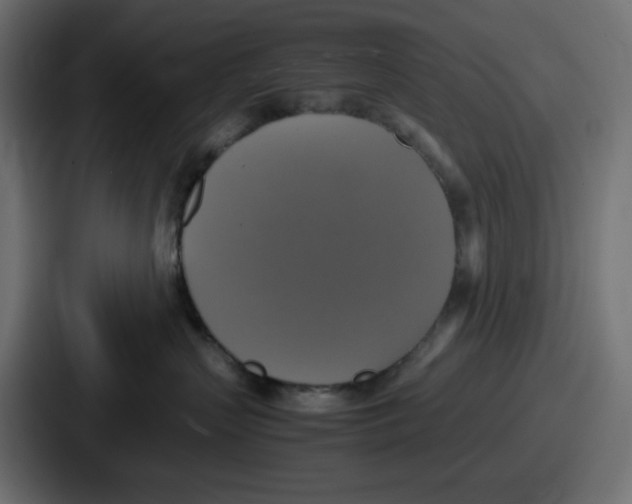 X0000086760383200705111720