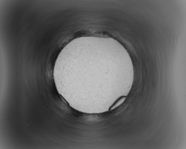 X0000086760384200705111720