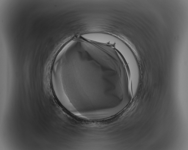 X0000086760385200705111719