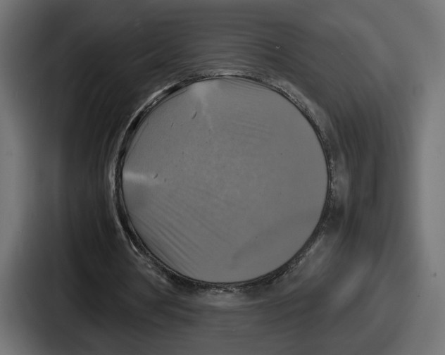 X0000086760386200705111719