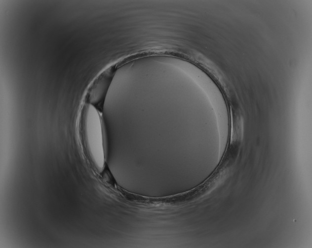 X0000086760387200705111719