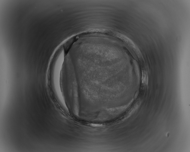 X0000086760388200705111719