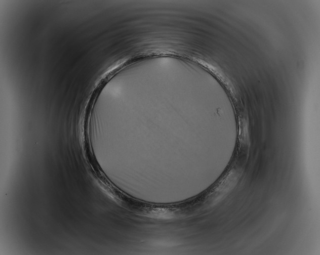 X0000086760390200705111719