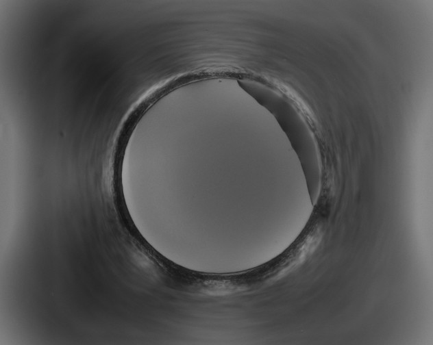 X0000086760391200705111719