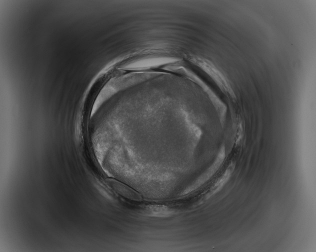 X0000086760392200705111719