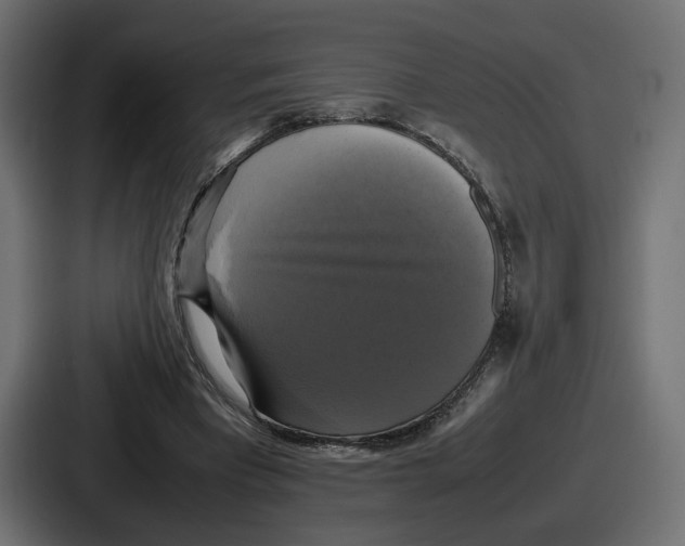 X0000086760393200705111719