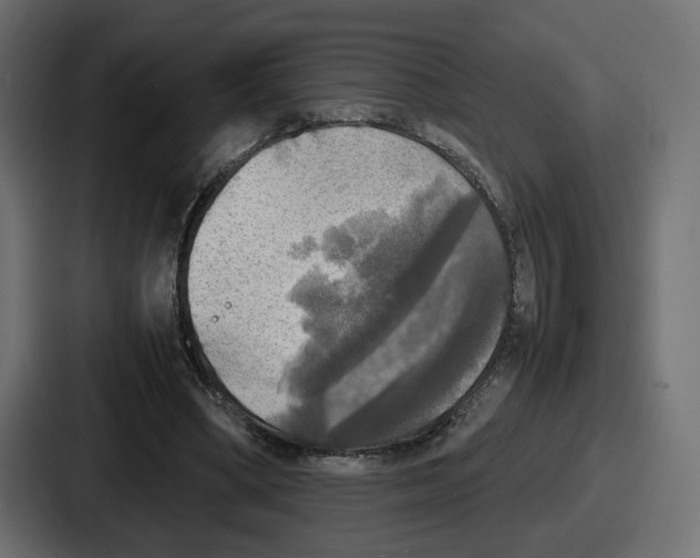 X0000086760394200705111719
