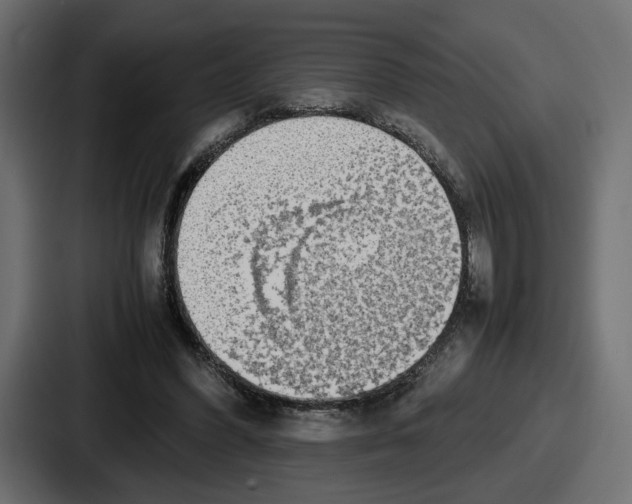 X0000086760396200705111719