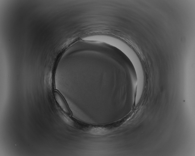 X0000086760397200705111719