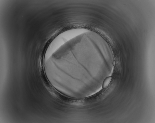 X0000086760398200705111719