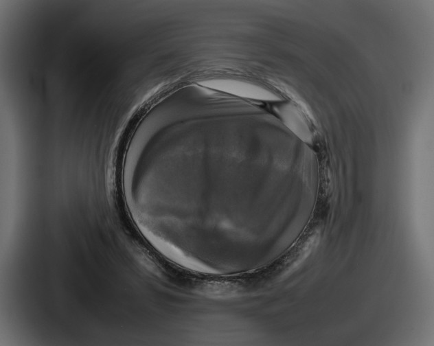 X0000086760399200705111719