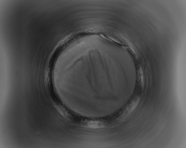 X0000086760400200705111719