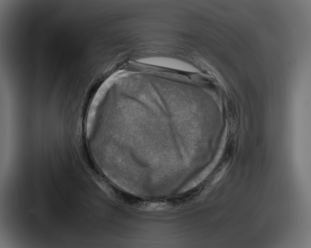 X0000086760401200705111719