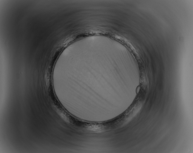 X0000086760402200705111719