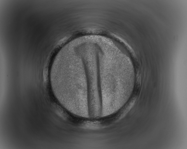 X0000086760403200705111719