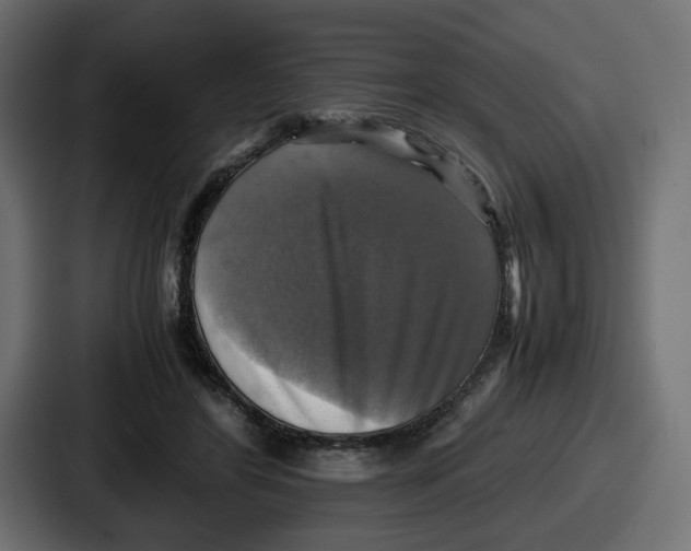 X0000086760404200705111719