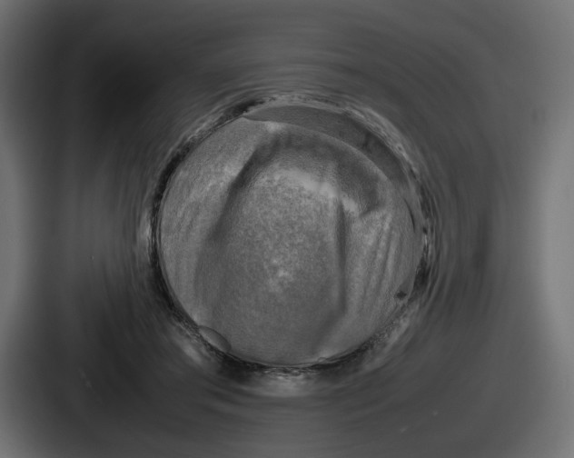 X0000086760405200705111719