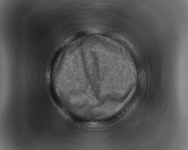 X0000086760406200705111719