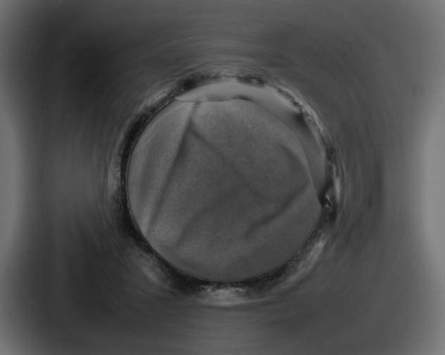 X0000086760407200705111719