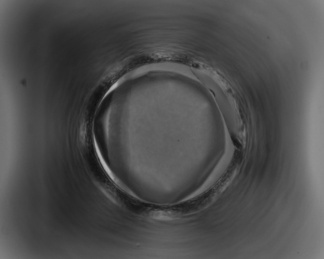 X0000086760408200705111719