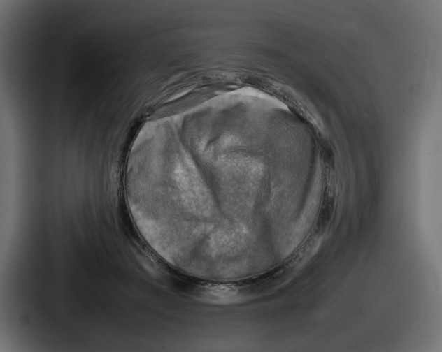 X0000086760409200705111719
