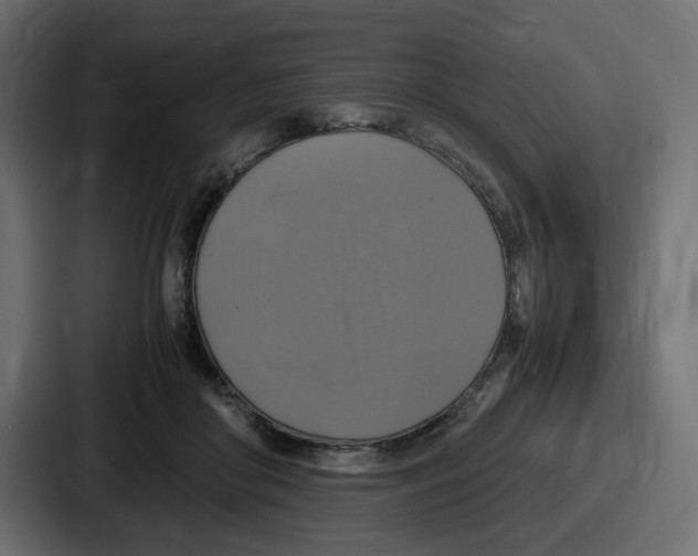 X0000086760410200705111719