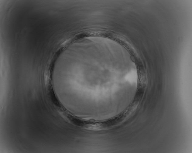 X0000086760411200705111719