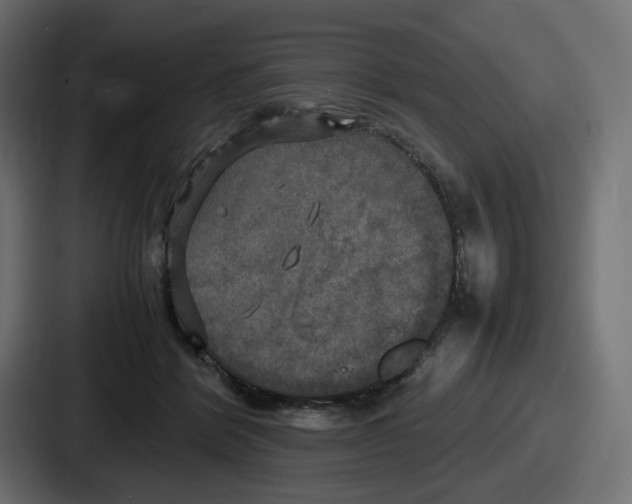 X0000086760412200705111719