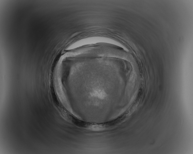 X0000086760413200705111719