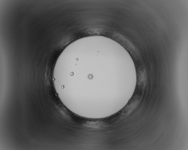 X0000086760414200705111719