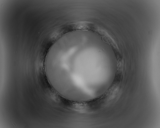 X0000086760415200705111719