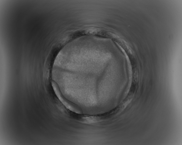 X0000086760417200705111719