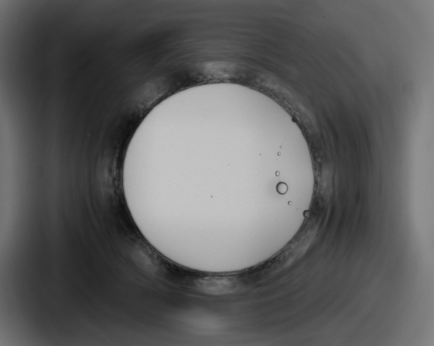 X0000086760418200705111719