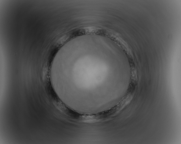 X0000086760419200705111719