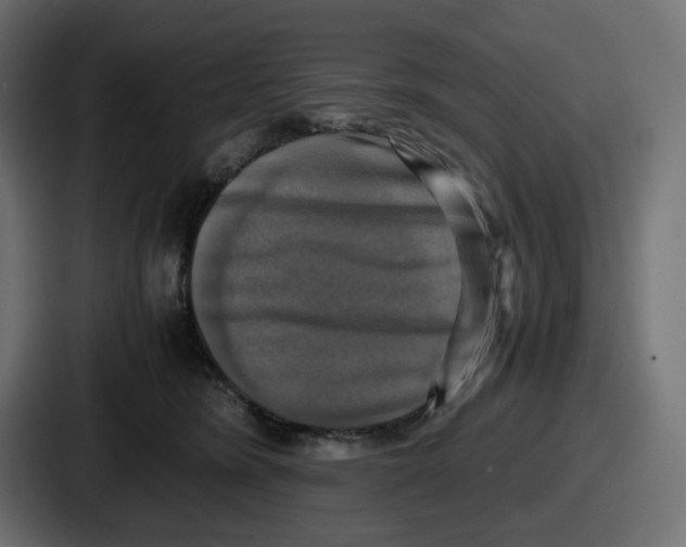 X0000086760420200705111719