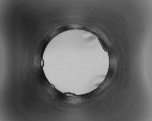 X0000086760421200705111719