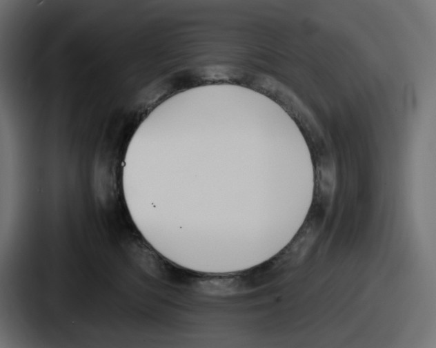 X0000086760422200705111719