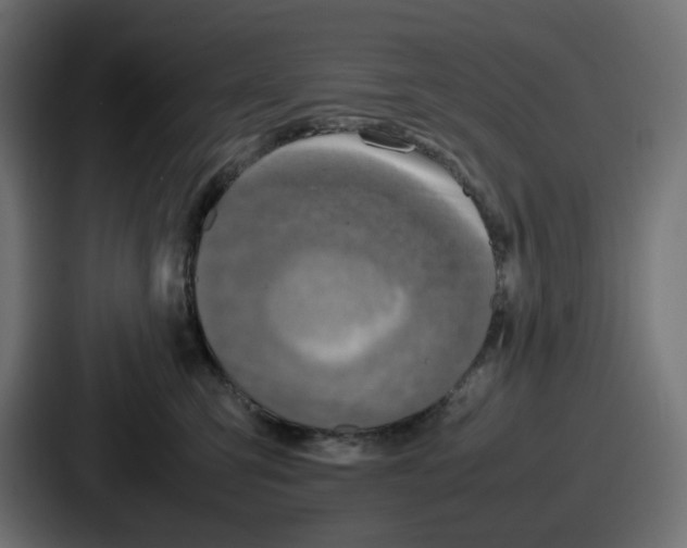 X0000086760423200705111719