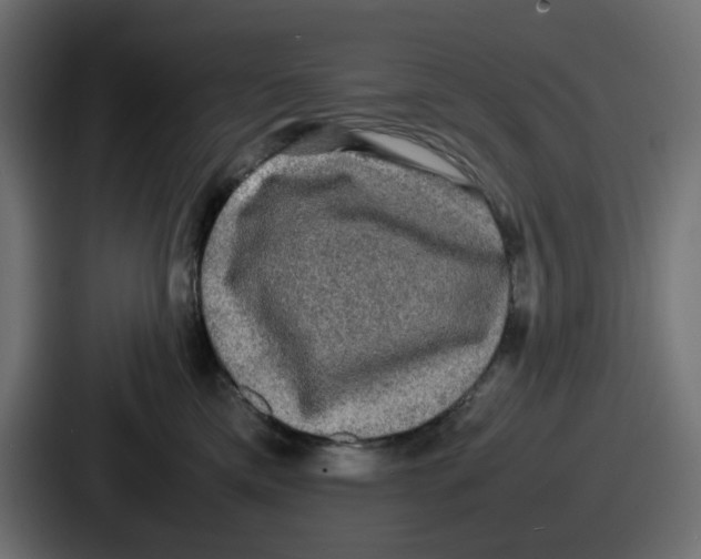 X0000086760425200705111719