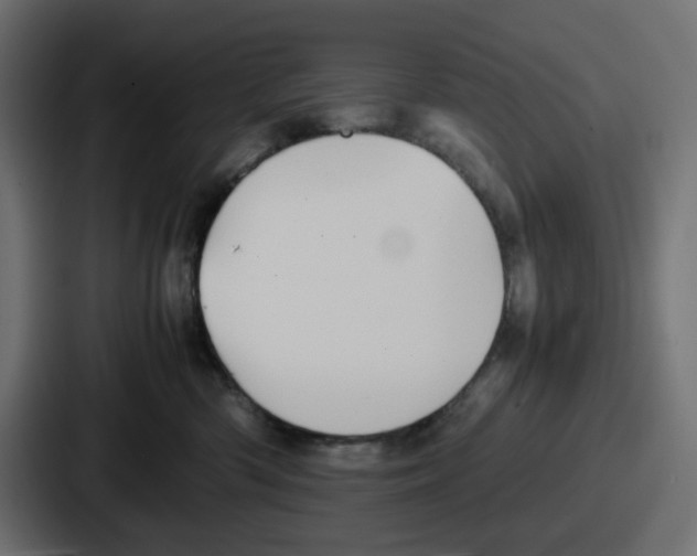 X0000086760426200705111719
